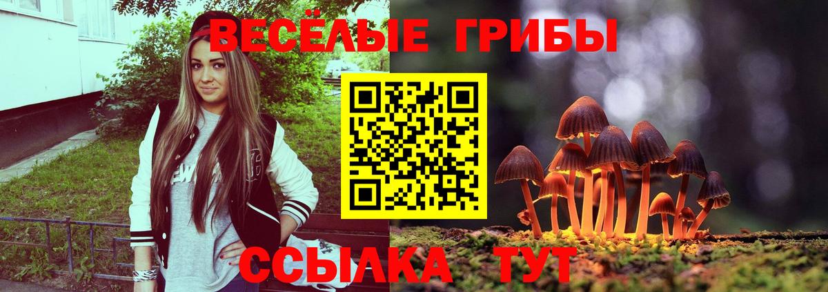 Тара  Галлюциногенные грибы прущие грибы  Вход с VPN  Галлюциногенные грибы Psilocybe 