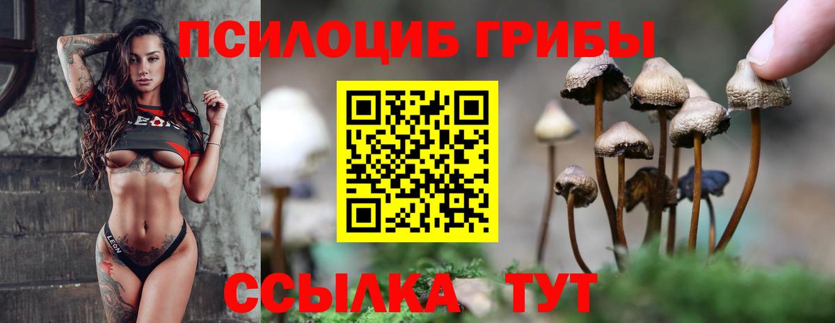 Галлюциногенные грибы прущие грибы Тара